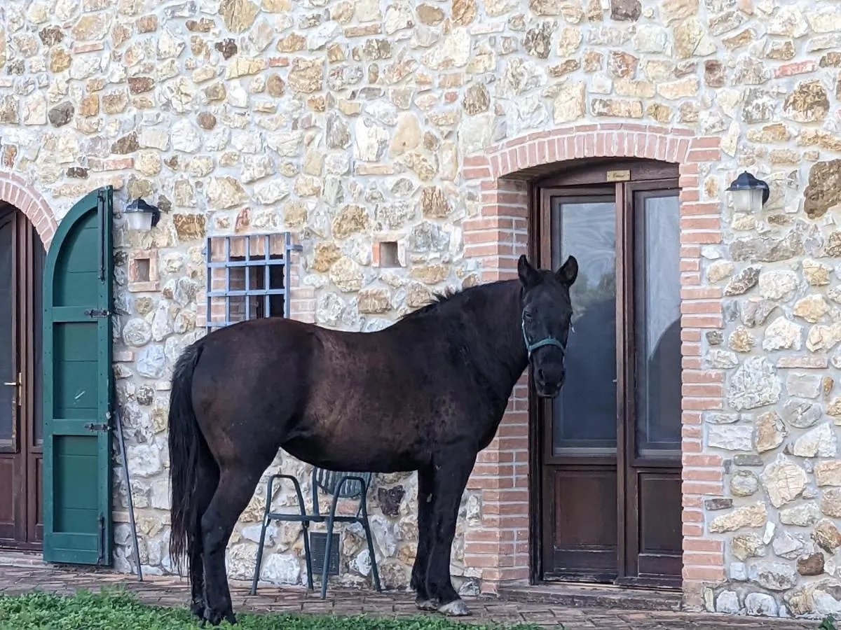 Agriturismo Fattoria Di Statiano Pomarance Farm stay