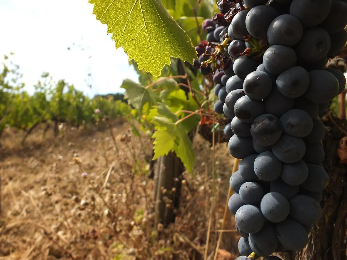 Agriturismo Fattoria Di Statiano Pomarance