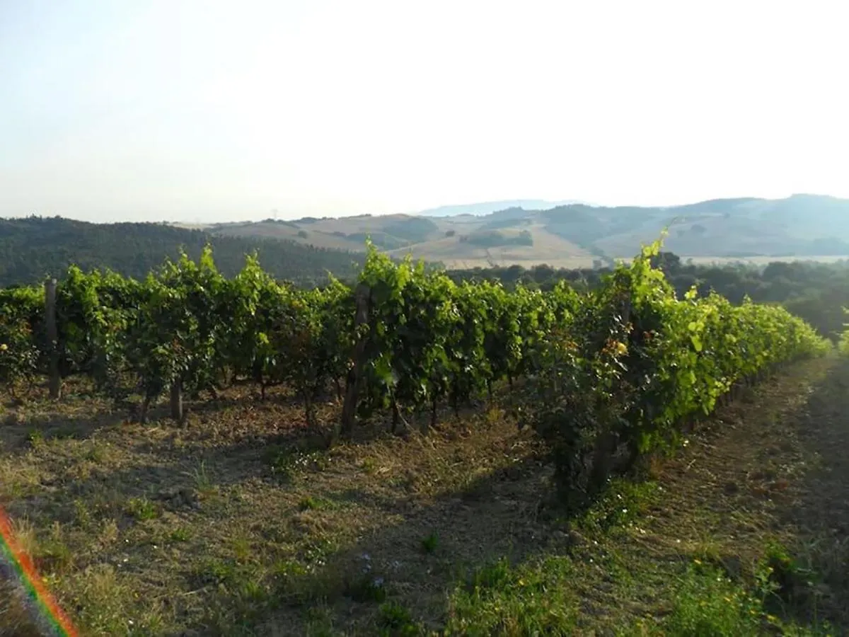 Agriturismo Fattoria Di Statiano Pomarance