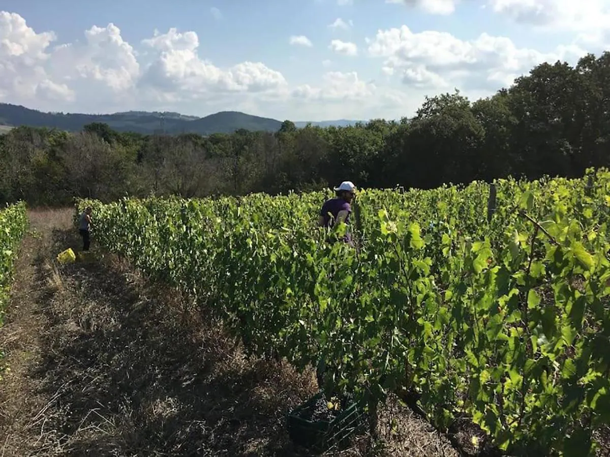 Agriturismo Fattoria Di Statiano Pomarance Farm stay