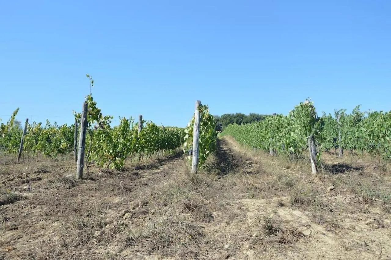 Agriturismo Fattoria Di Statiano بومارانسي مزرعة للإقامة